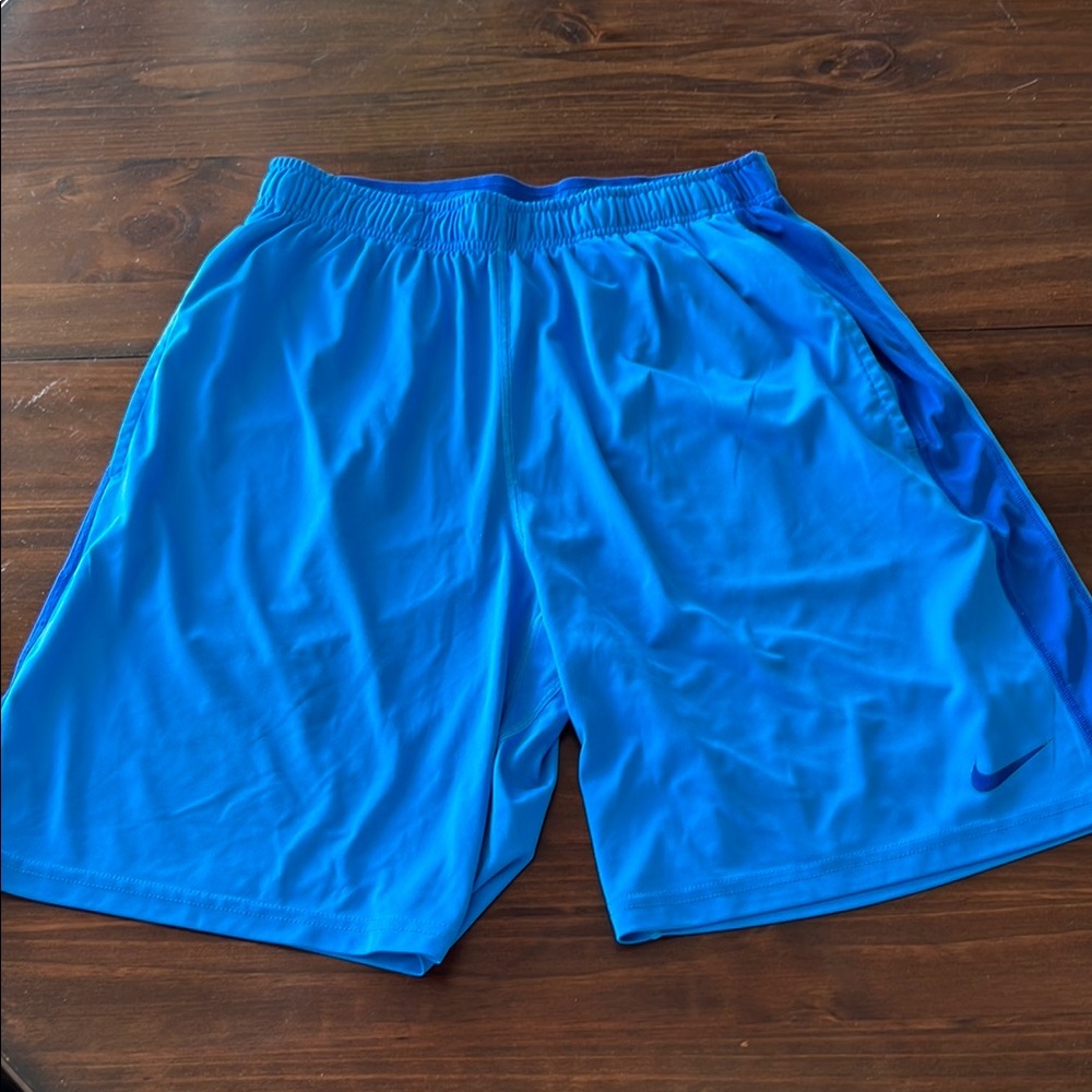 Nike Men's Blue Athletic Shorts